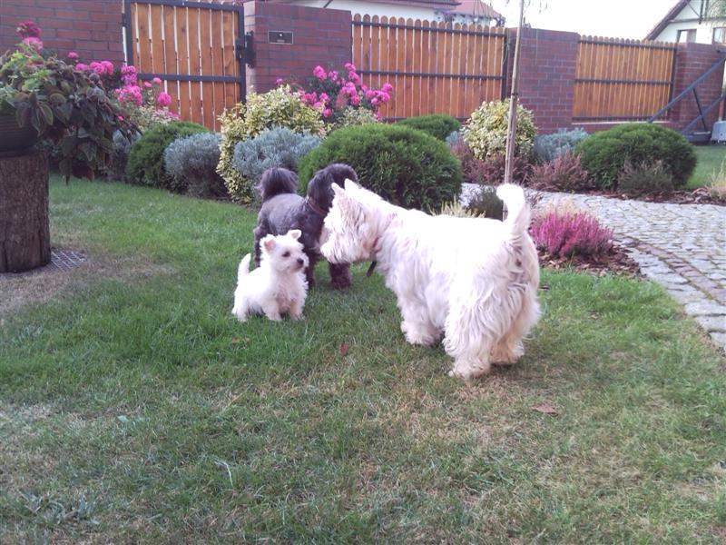 SNC00506 (Medium).jpg