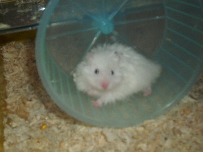 i nowy nabytek zwierzecy-Biały:)