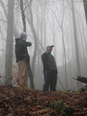 Adam do Yara - oOO tam go widzialem ..... Tego smoka;P