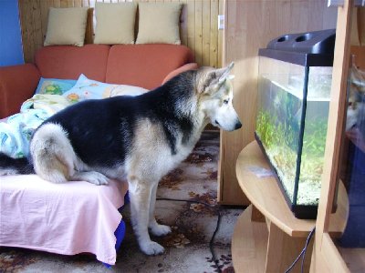 IMGP5272 (Large).JPG