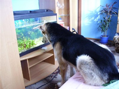 IMGP5293 (Large).JPG