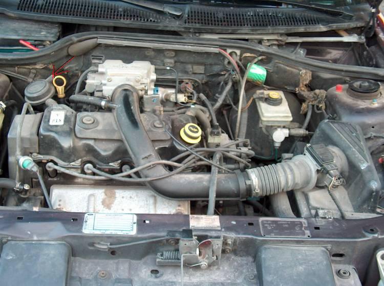 217356_z_w[1].jpg