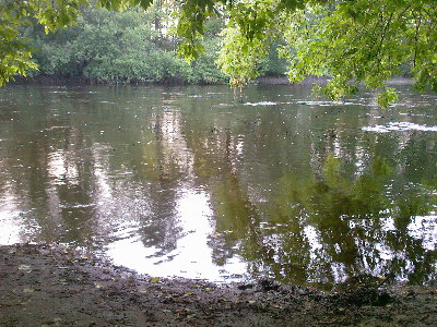 Bzura - podwyższony stan.jpg