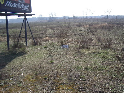 Targówek/Bródno - Trasa Toruńska