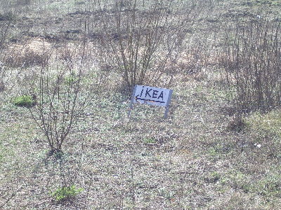 Targówek/Bródno - Trasa Toruńska