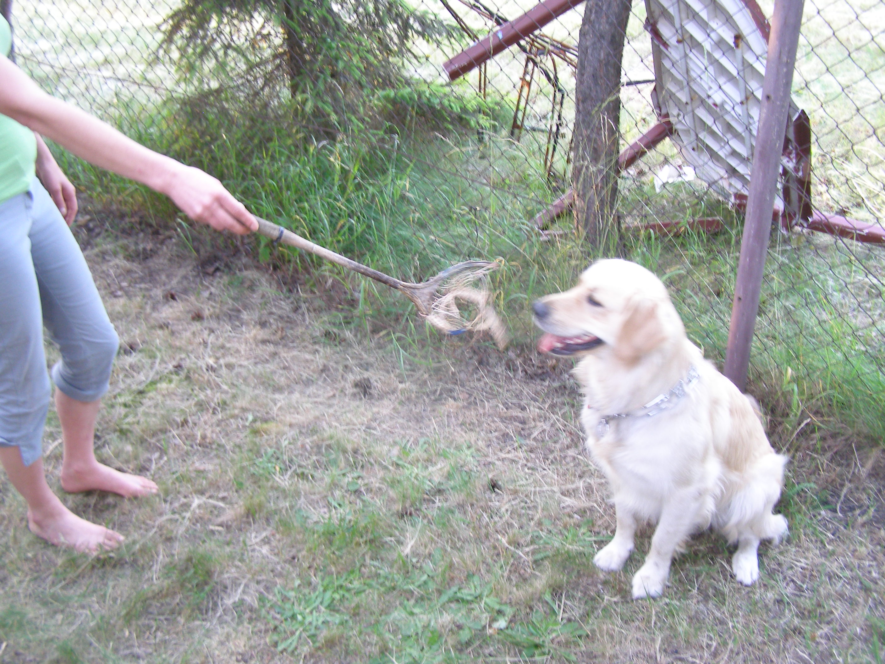 Maltretowanie muzealnej rakietki