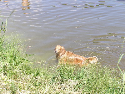 Niedzielna wycieczka nad jezioro