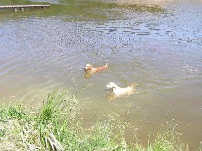 Niedzielna wycieczka nad jezioro