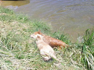 Niedzielna wycieczka nad jezioro