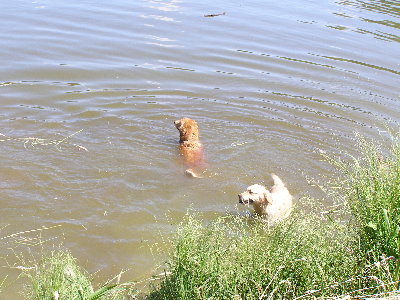 Niedzielna wycieczka nad jezioro