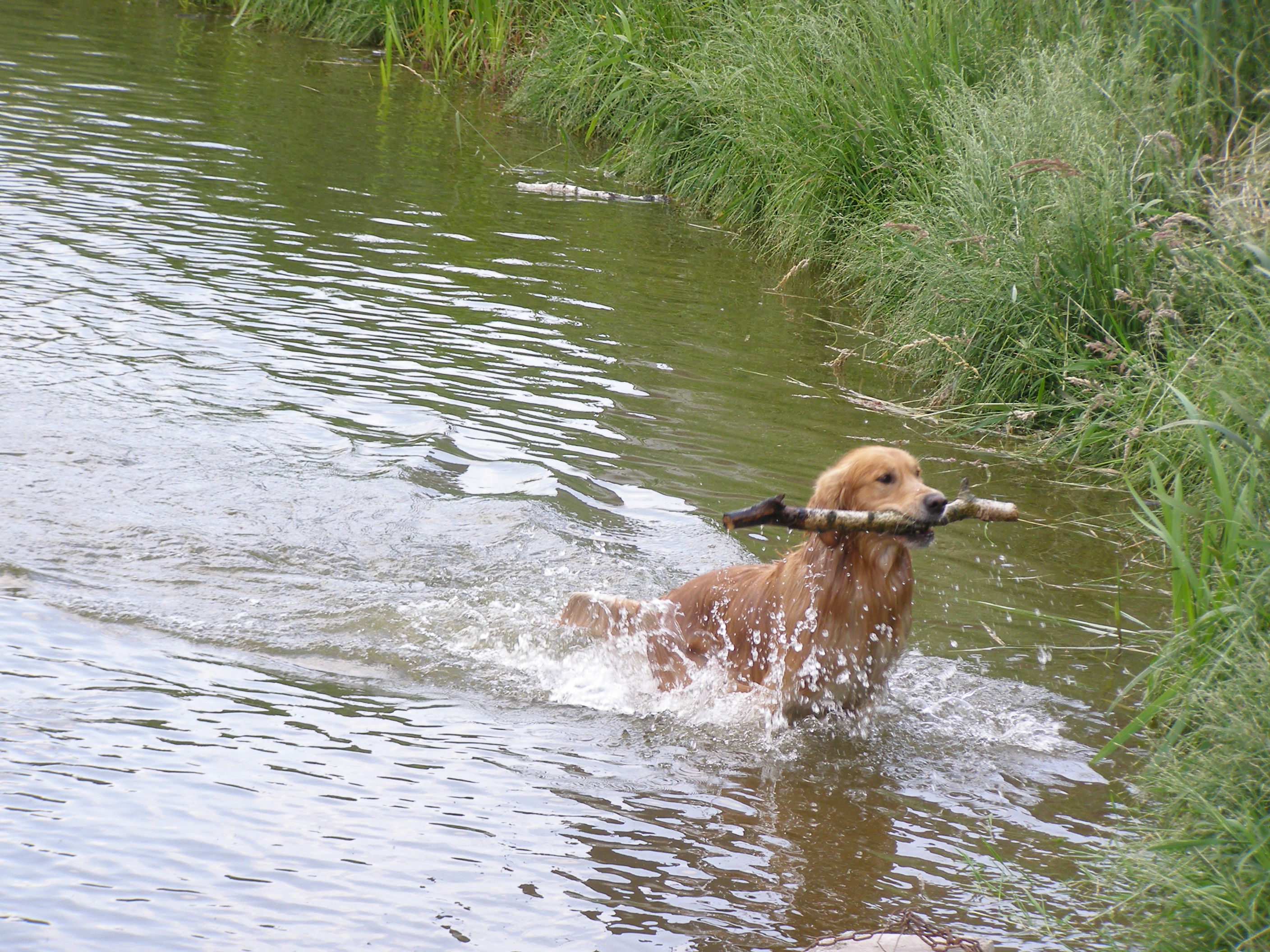 Wycieczka nad jezioro i wodowanie Uriela