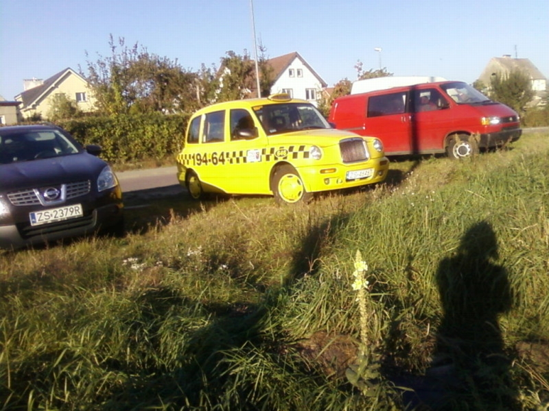 Podoba mi się taka taksóweczka :)