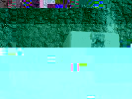 48684239_1.jpeg