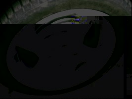 flt.JPG