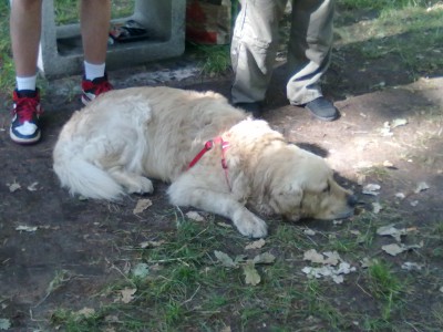 A to gwóźdź programu.