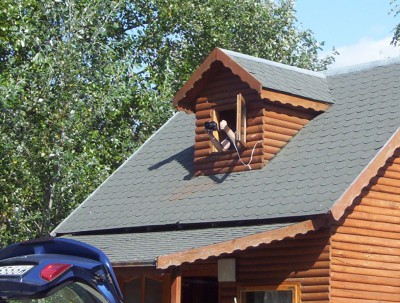 Pęczniew 23-25-11r 033.jpg