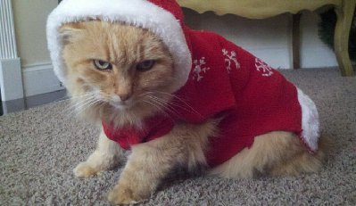 Coś na święta :-)