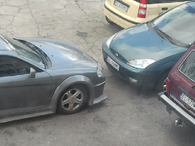 Coś &amp;amp; Foka