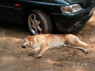 SIMO POTRˇCIŁ ESSIEGO :(