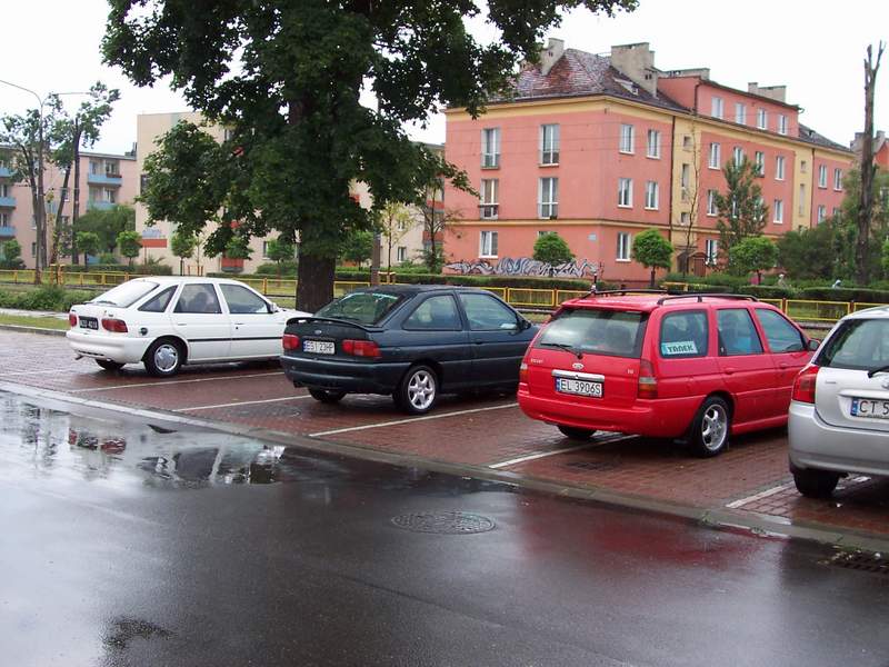 maly postuj w Toruniu