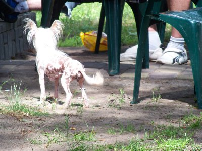 bernardynka 2012 013 (Kopiowanie).jpg