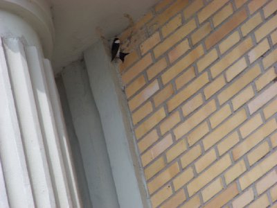 bernardynka 2012 076 (Kopiowanie).jpg