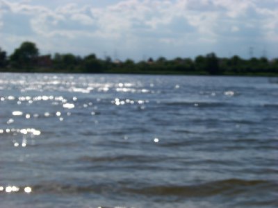 bernardynka 2012 105 (Kopiowanie).jpg