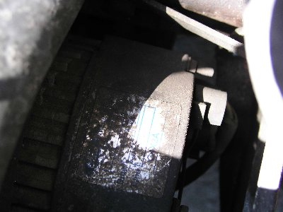 P1010085_2.jpg