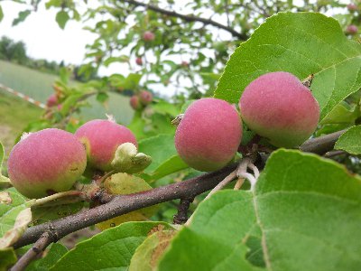 2012-06-13 09.57.24.jpg