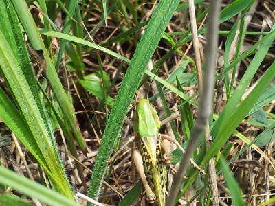 2012-06-13 11.52.58.jpg (387.96 KiB) Przejrzano 146 razy 2012-06-13 11.52.58.jpg