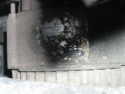 P1010080_2.jpg