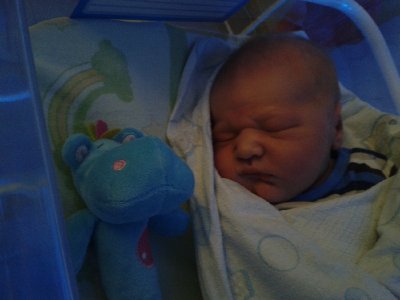 2012-11-19 19.22.07.jpg