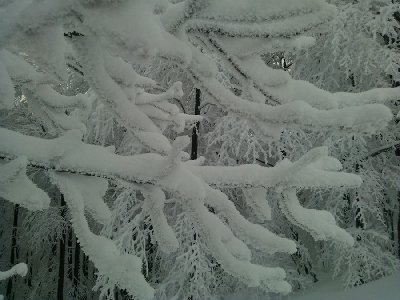 Kopia WP_000385.jpg (440.21 KiB) Przejrzano 132 razy Kopia WP_000385.jpg