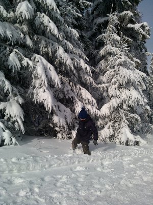 Kopia WP_000379.jpg (460.89 KiB) Przejrzano 142 razy Kopia WP_000379.jpg