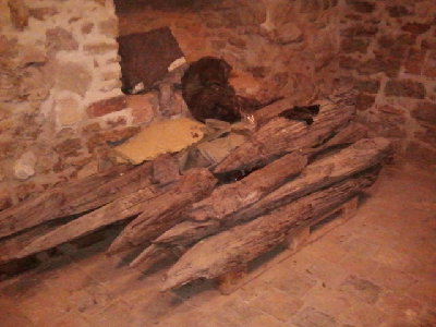 Pale wyjete z fosy maja tyle lat co zamczysko ;)