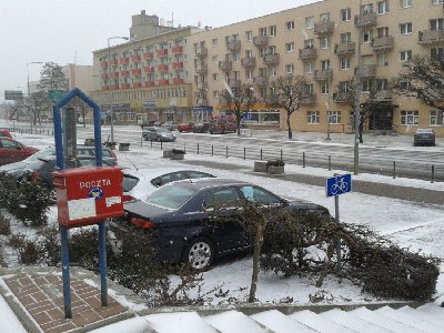 2013-03-10 15.18.39.jpg