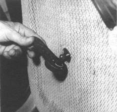 image380.jpg
