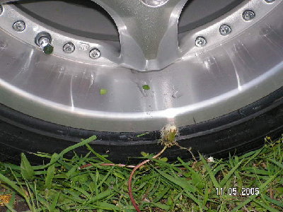 Dxiałka 2004 930.jpg
