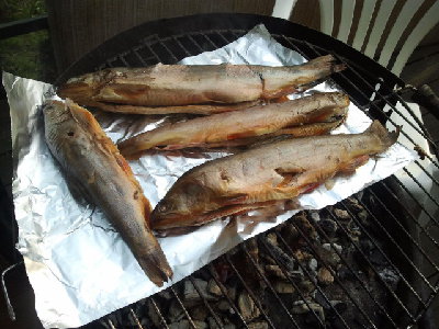 Zdjęcie0699.jpg (242.64 KiB) Przejrzano 148 razy Zdjęcie0699.jpg