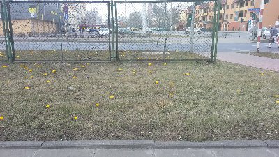 2014-02-27 12.38.15.jpg