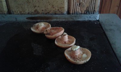 IMG_20141102_085318 (Kopiowanie).jpg