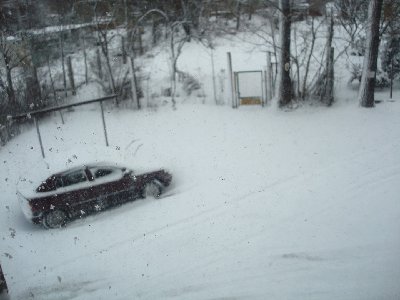 Zima II 017 (Large).JPG