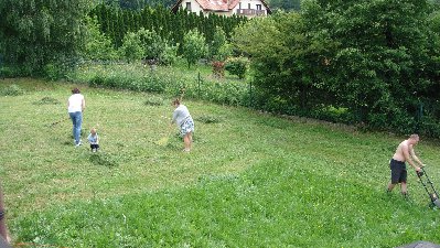 DSC03601 (Medium).JPG