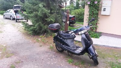 oba dziady na zdjeciu tylko jeden sie nieco schował za choinke