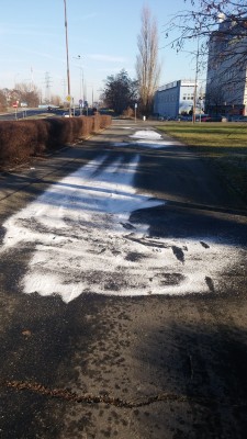 2016-12-30 11.29.12.jpg