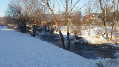 2017-01-28 08.48.21.jpg