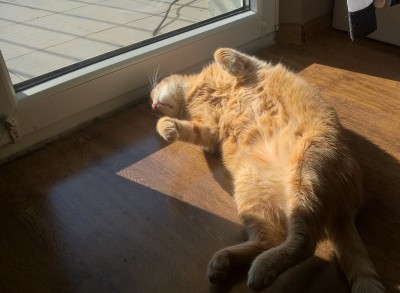 WP_20170519_16_58_37_Pro_LI (2).jpg