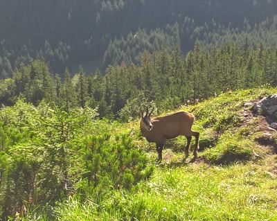 WP_20170729_18_30_33_Pro_LI (2).jpg