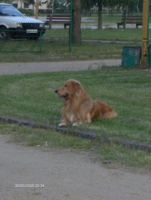 HPIM4300 (Large).JPG