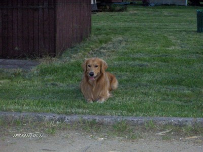 HPIM4302 (Large).JPG